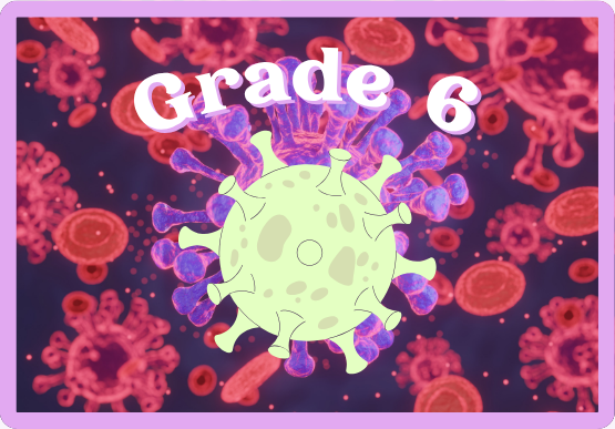 Grade 6: Choose your period